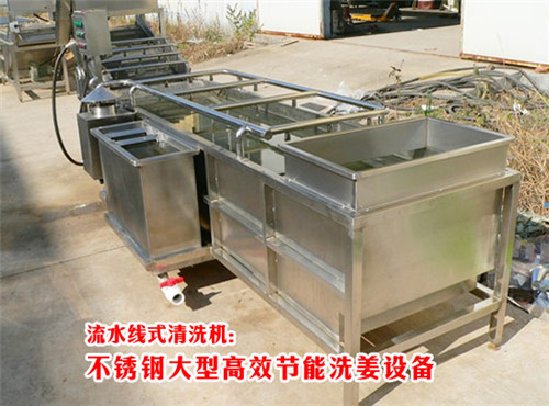廣東省洗姜機